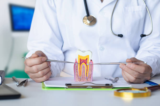 Best Pediatric Emergency Dentist in Rancho Santa Margarita, CA